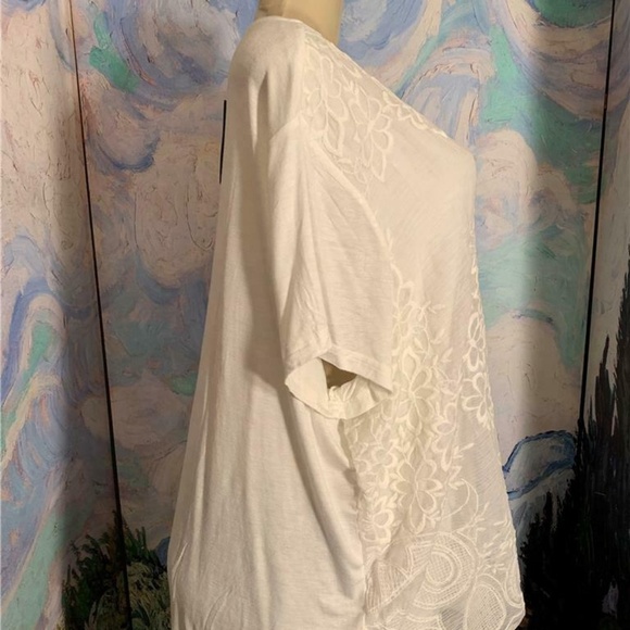 Curations  Ivory Sheer Embroidered Tunic Top - Picture 3 of 6